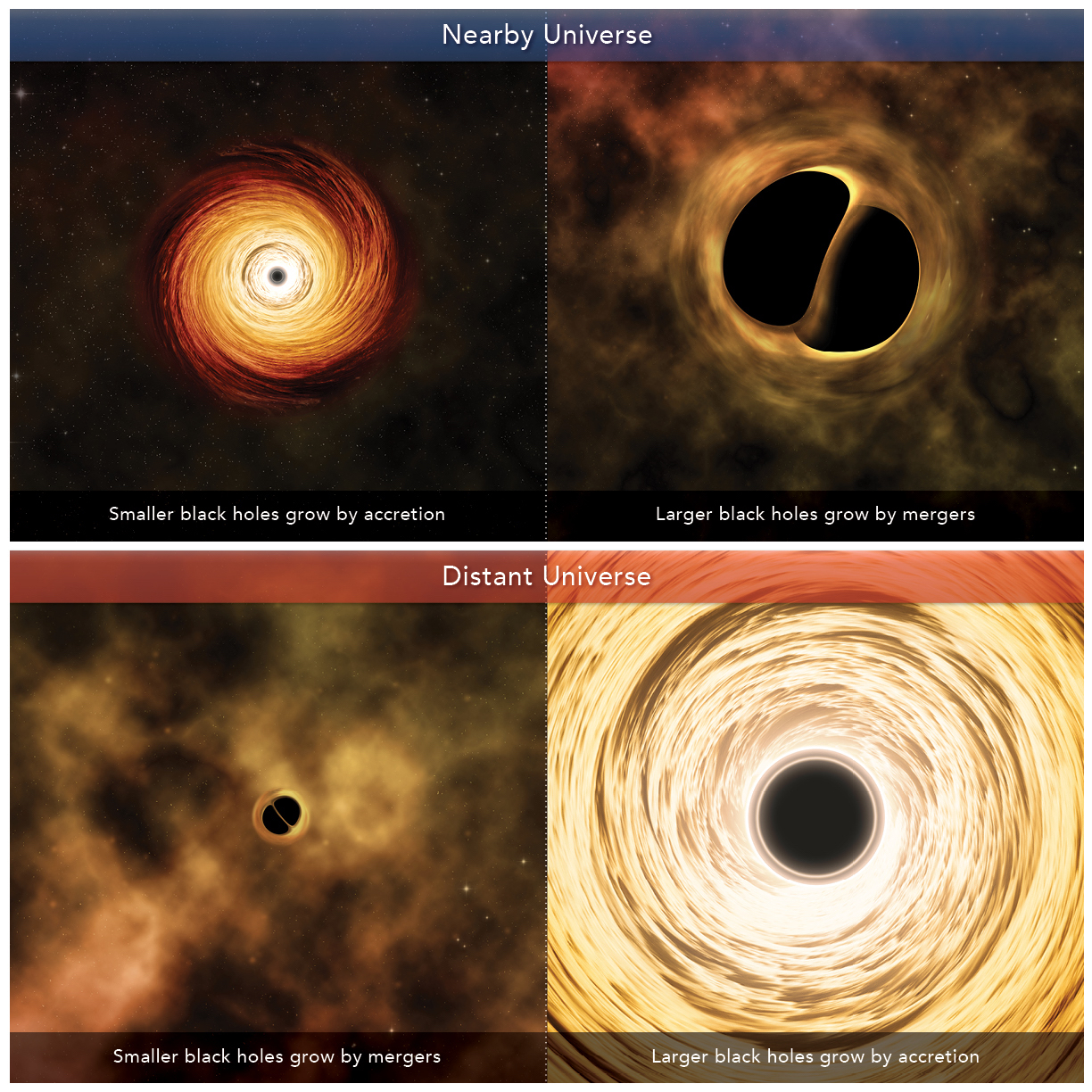 Artist's conception depicting the growth channels of black holes in the nearby and distant universe. In the nearby universe, smaller black holes grow by accretion while larger black holes grow by mergers. In the distant universe, the opposite is true.