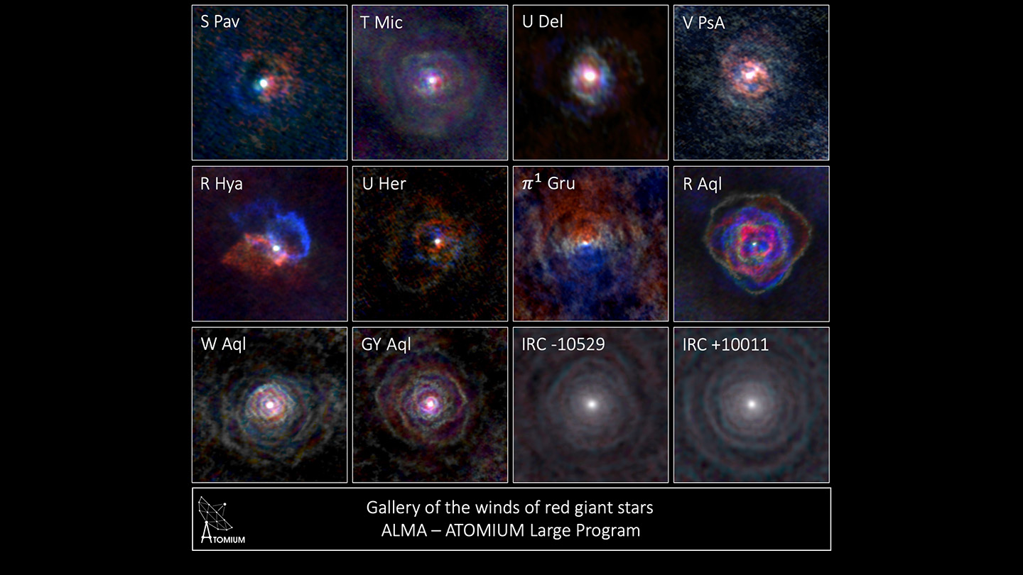 Gallery of stellar winds around cool aging stars, showing a variety of morphologies, including disks, cones, and spirals. The blue color represents material that is coming towards you, red ismaterial that is moving away from you. Image 8, in particular, shows the stellar wind of R Aquilae, which resembles the structure of rose petals. 