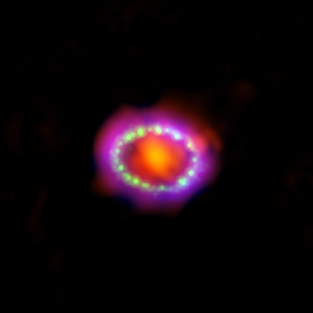 Astronomers combined observations from three different observatories to produce this colorful, multiwavelength image of the intricate remains of Supernova 1987A. The red color shows newly formed dust in the center of the supernova remnant, taken at submillimeter wavelengths by the Atacama Large Millimeter/submillimeter Array (ALMA) telescope in Chile. The green and blue hues reveal where the expanding shock wave from the exploded star is colliding with a ring of material around the supernova. The green represents the glow of visible light, captured by NASA&#039;s Hubble Space Telescope. The blue color reveals the hottest gas and is based on data from NASA&#039;s Chandra X-ray Observatory. The ring was initially made to glow by the flash of light from the original explosion. Over subsequent years the ring material has brightened considerably as the explosion&#039;s shock wave slams in it. Supernova 1987A resides 163,000 light-years away in the Large Magellanic Cloud, where a firestorm of star birth is taking place.