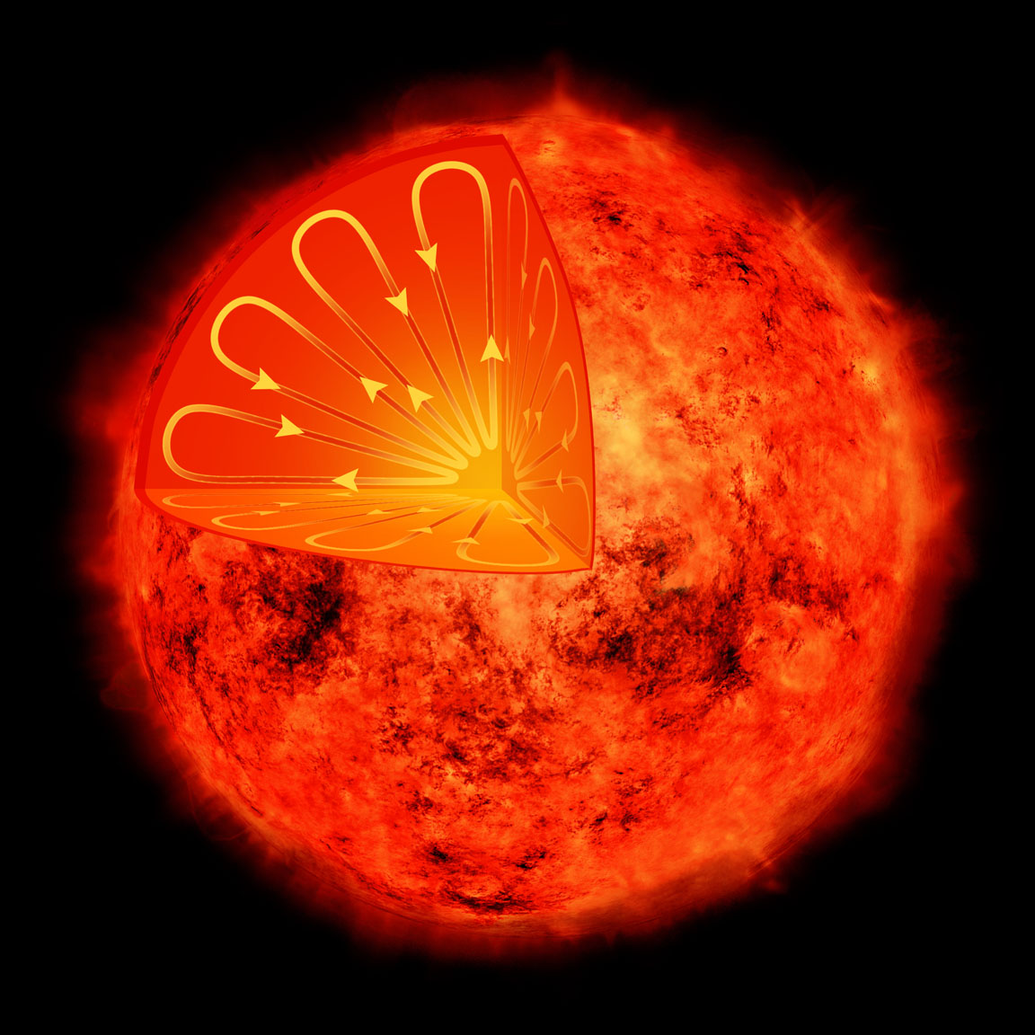 An artist&#039;s illustration depicts the interior of a low-mass star. Such stars have different interior structures than our Sun, so they are not expected to show magnetic activity cycles. However, astronomers have discovered that the nearby star Proxima Centauri defies that expectation and shows signs of a 7-year activity cycle.