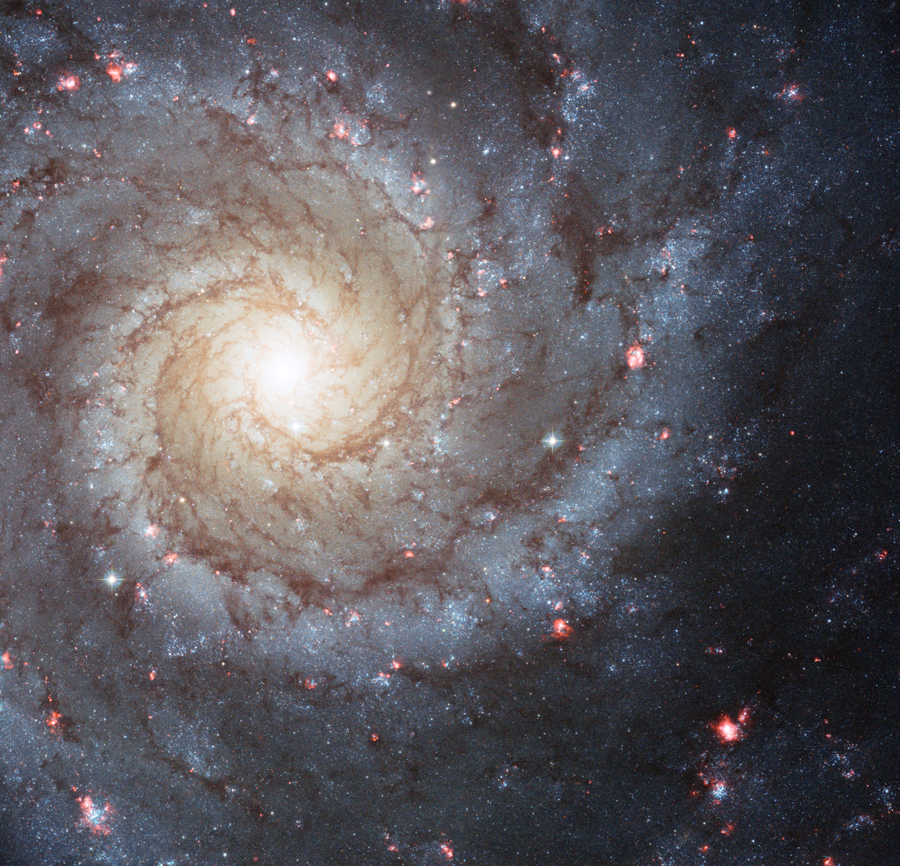 This Hubble Space Telescope photo of Messier 74 reminds us that spiral galaxies are some of the most beautiful and photogenic residents of the universe. Nearly 70 percent of the galaxies closest to the Milky Way are spirals. New research finds that spiral arms are self-perpetuating, persistent, and surprisingly long lived.