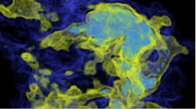 The star-forming region L1448 in 13CO using data from the COMPLETE Survey