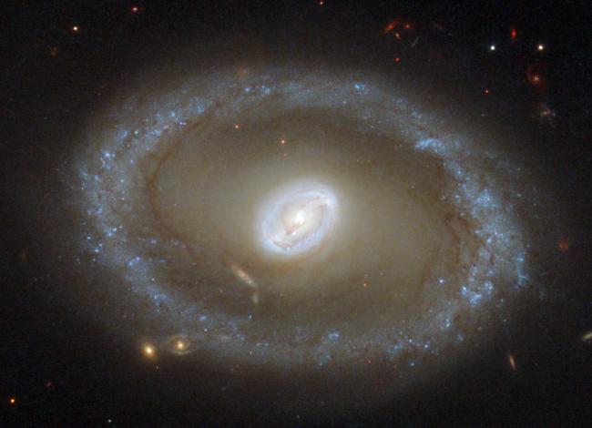 optical image of the face-on Seyfet galaxy NGC 3081