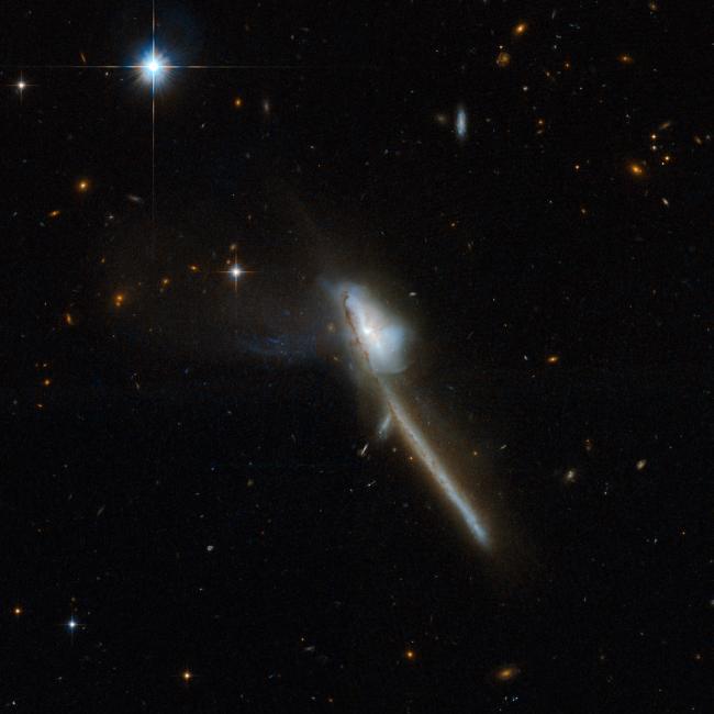 A Hubble image of the infrared luminous merging galaxy system Mrk 237.