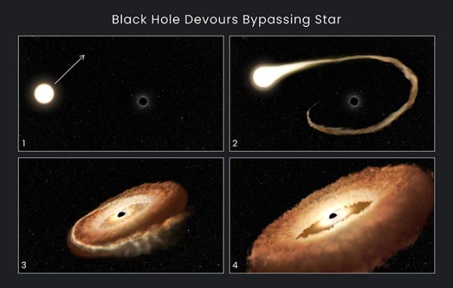 This sequence of artist's illustrations shows how a black hole can devour a bypassing star.