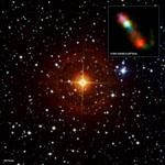 CH Cyg: A Close-up View of Codependent Stellar Living