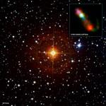 CH Cyg: A Close-up View of Codependent Stellar Living