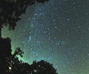 Perseids at their Best