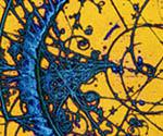 CfA Announces Free On-Line Course on Frontiers of Physics