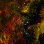 Cygnus OB2: Probing a Nearby Stellar Cradle