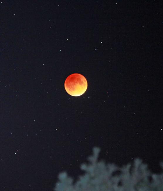 Lunar Eclipse Wows New England