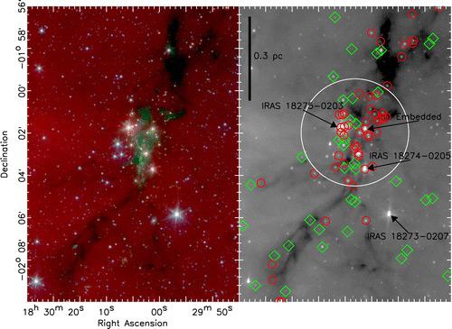 The Birth of a Stellar Cluster