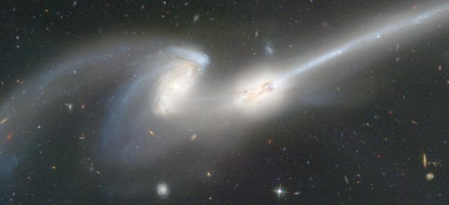 The Origin of Quasars