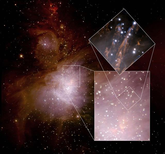 Molecular Probes of the Orion Nebula