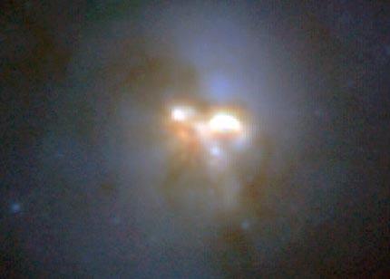 A Wealth of Molecules in an Extreme Galaxy