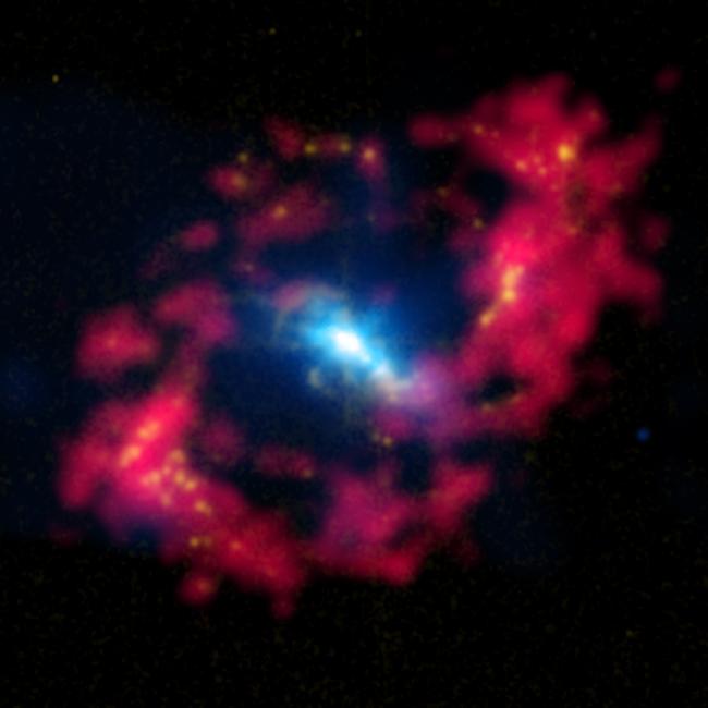Measuring Galaxy Black Hole Masses