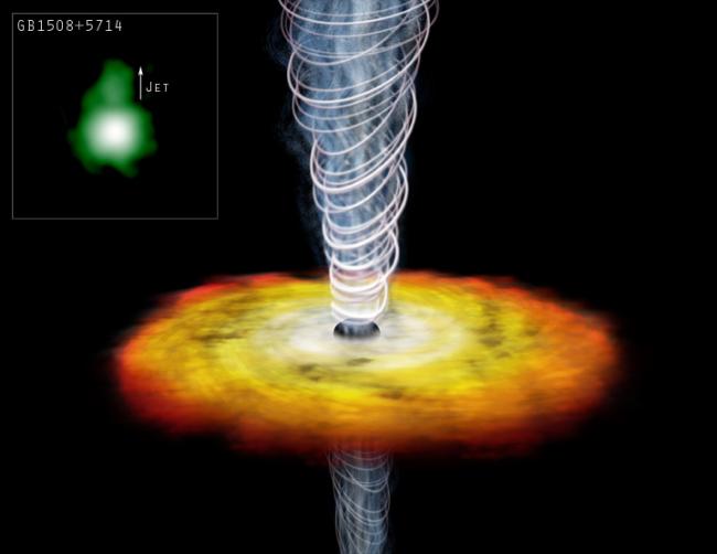 The Origins of a Torus in a Galactic Nucleus