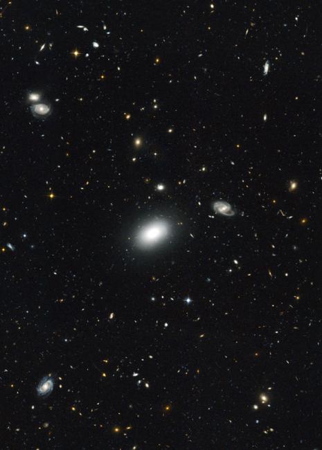 Radio Galaxies in the Distant Universe