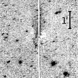 Don Quixote: An Asteroid that is a Living Comet