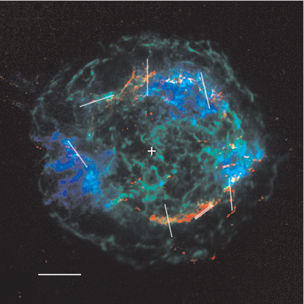 Phosphorus in a Supernova Remnant