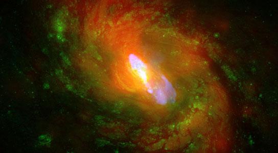 The Evolution of Galaxies that Host Massive Black Holes