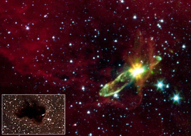 A Spider-Like Outflow in a Young Star Forming Region