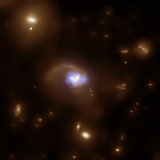 Accreting Supermassive Black Holes in the Early Universe