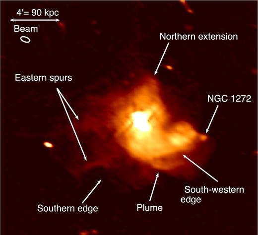 The Nature of Galaxy Cluster Mini-Halos