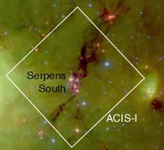 Chandra Detection of Diskless Young Stars